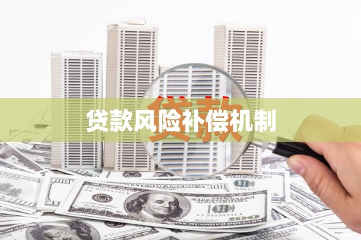 岑巩贷款风险补偿机制