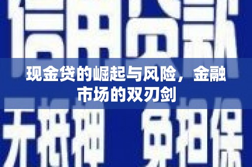 邵阳县现金贷的崛起与风险，金融市场的双刃剑