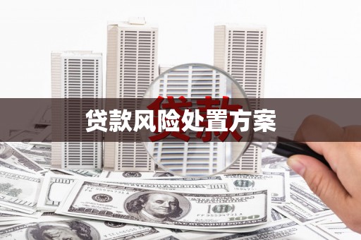平武贷款风险处置方案