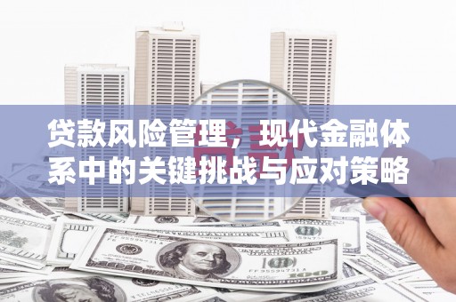 横沥贷款风险管理，现代金融体系中的关键挑战与应对策略