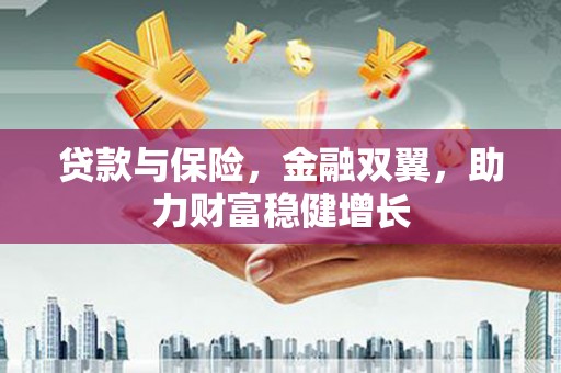 绥滨贷款与保险，金融双翼，助力财富稳健增长