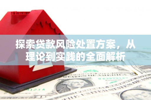 铜仁探索贷款风险处置方案，从理论到实践的全面解析