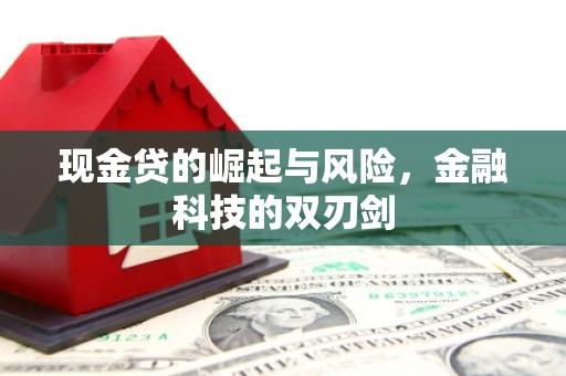 花莲现金贷的崛起与风险，金融科技的双刃剑