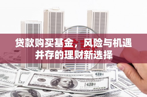 于洪贷款购买基金，风险与机遇并存的理财新选择