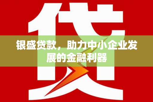 维西银盛贷款，助力中小企业发展的金融利器