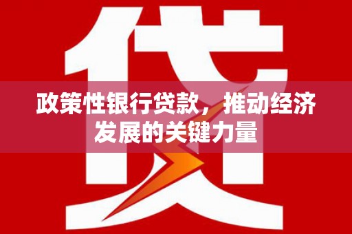 白水政策性银行贷款，推动经济发展的关键力量