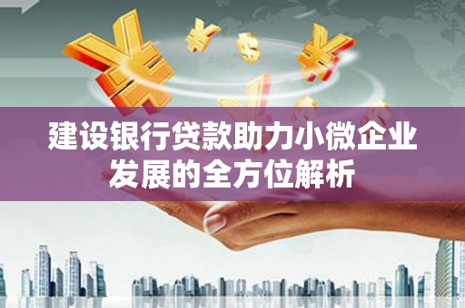 大渡口建设银行贷款助力小微企业发展的全方位解析