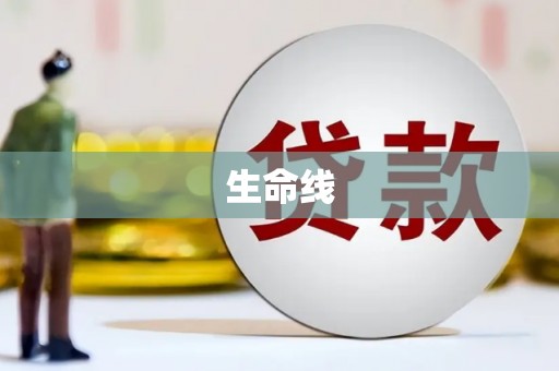 永康生命线