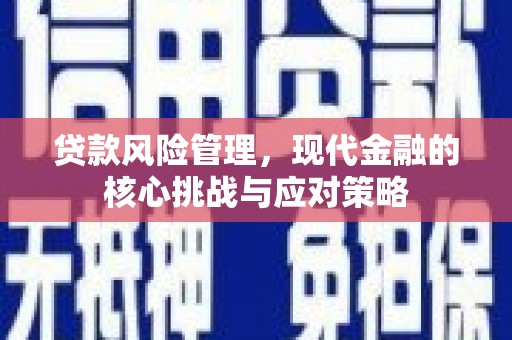 金堂贷款风险管理，现代金融的核心挑战与应对策略