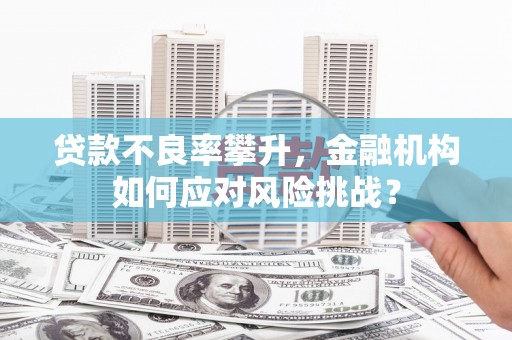 白玉贷款不良率攀升，金融机构如何应对风险挑战？