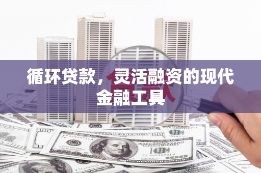 沛县循环贷款，灵活融资的现代金融工具