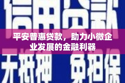 仪陇平安普惠贷款，助力小微企业发展的金融利器