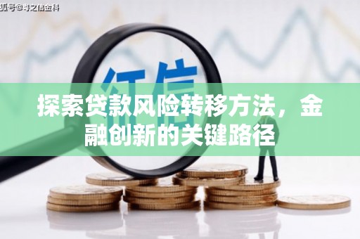 万柏林探索贷款风险转移方法，金融创新的关键路径