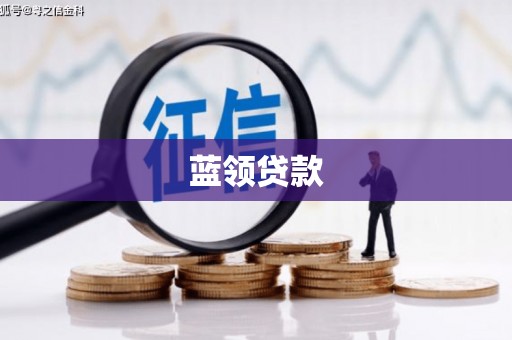 托克托蓝领贷款