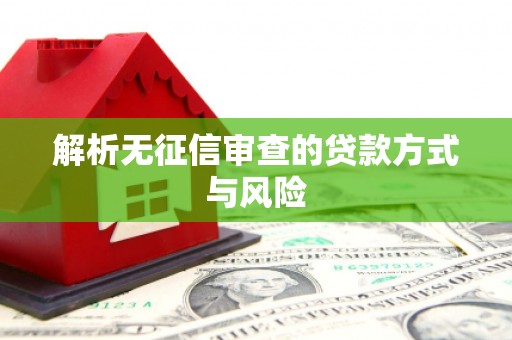佛冈解析无征信审查的贷款方式与风险