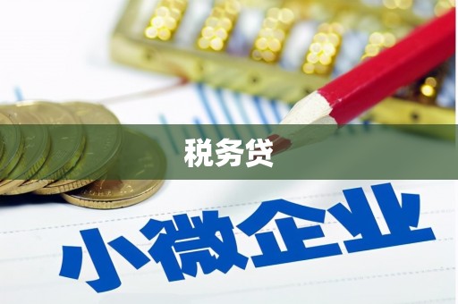 荥经税务贷