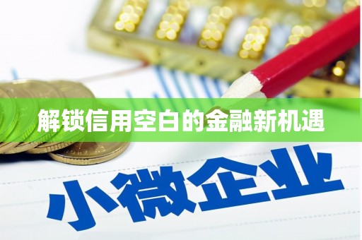 特克斯解锁信用空白的金融新机遇