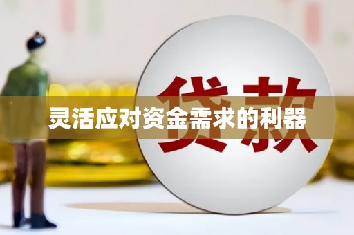 洋县灵活应对资金需求的利器