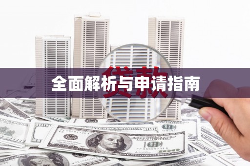 紫阳全面解析与申请指南