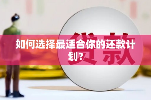 鸡东如何选择最适合你的还款计划？