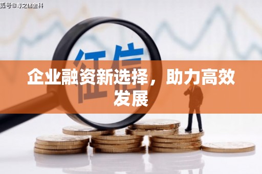 资溪企业融资新选择，助力高效发展