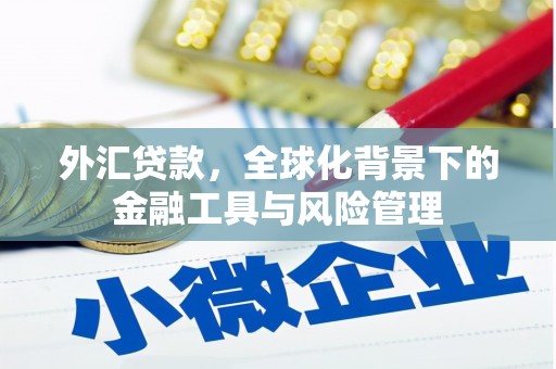 麻城外汇贷款，全球化背景下的金融工具与风险管理